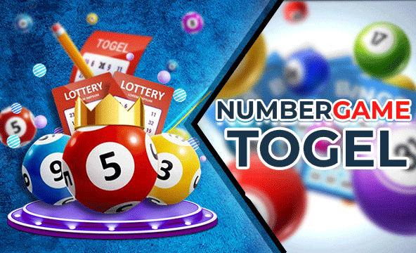 Angka Togel Berdasarkan Data Harian